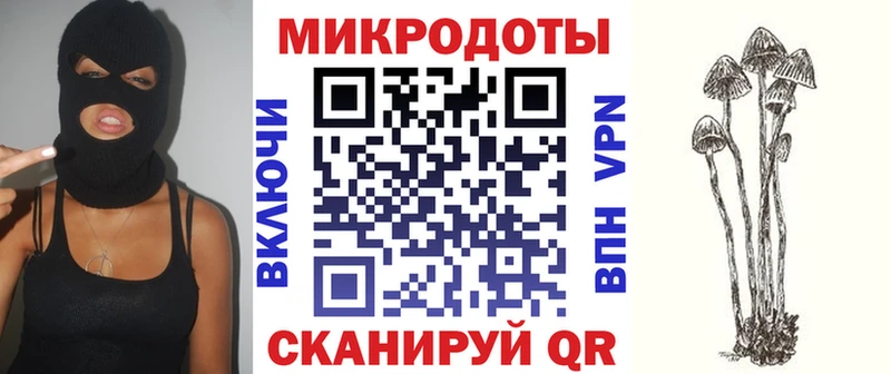 Псилоцибиновые грибы прущие грибы  Губаха 